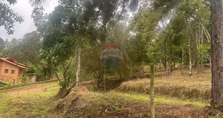 Terreno à venda na Estrada dos Moreiras, KM2, Conceição da Ibitipoca, Lima Duarte