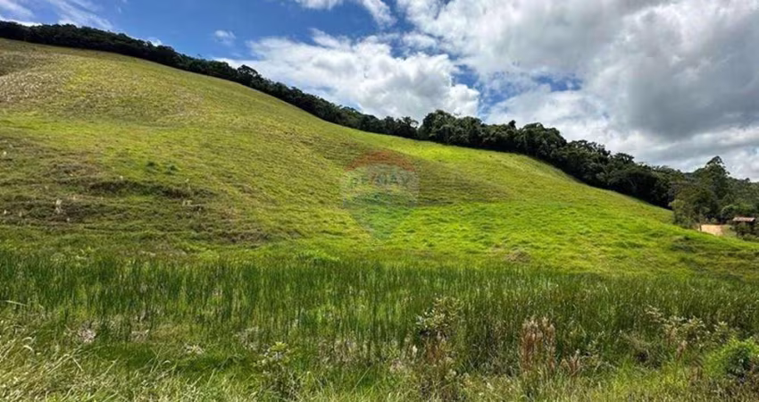 Sítio Encantador em Lima Duarte, MG – 43 Hectares de Beleza e Privacidade