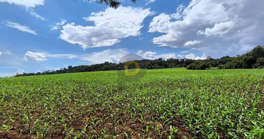 Sítio em Nova Santa Rosa