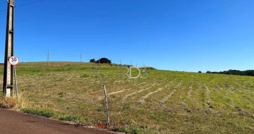 Terreno à venda, 1562 m² por R$ 1.380.000,00 - Esperança - Londrina/PR