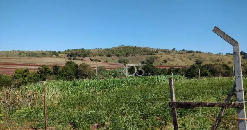 Chácara à venda, 1000 m² por r$ 160.000 - três bocas - londrina/pr