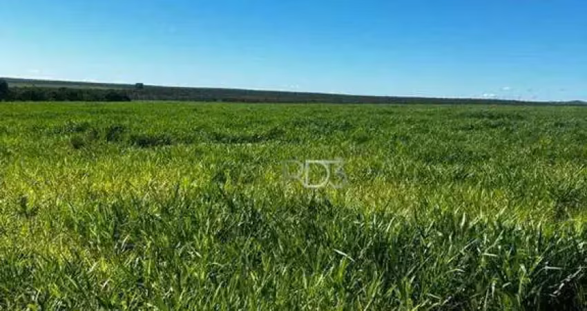 Fazenda à venda, 200 hectares, por r$ 5.000.000 - abadia de goiás - abadia de goiás/go