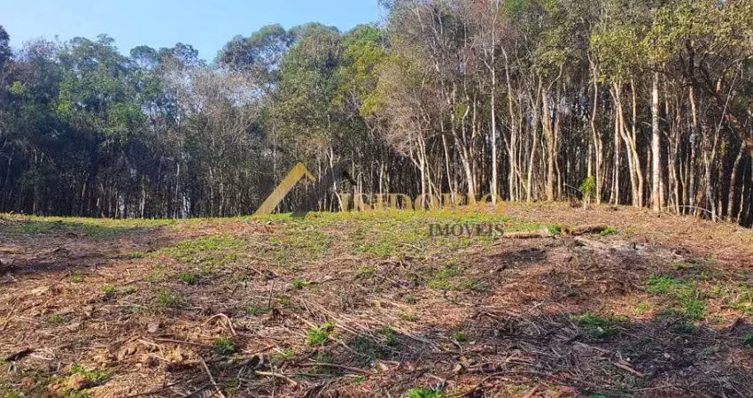 Excelente chácara em campo largo! 20.000m² de área total