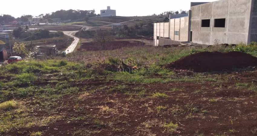 Terrenos comerciais e industriais  no bairro Líder, Chapecó-SC. Clique aqui para ver mais detalhes.