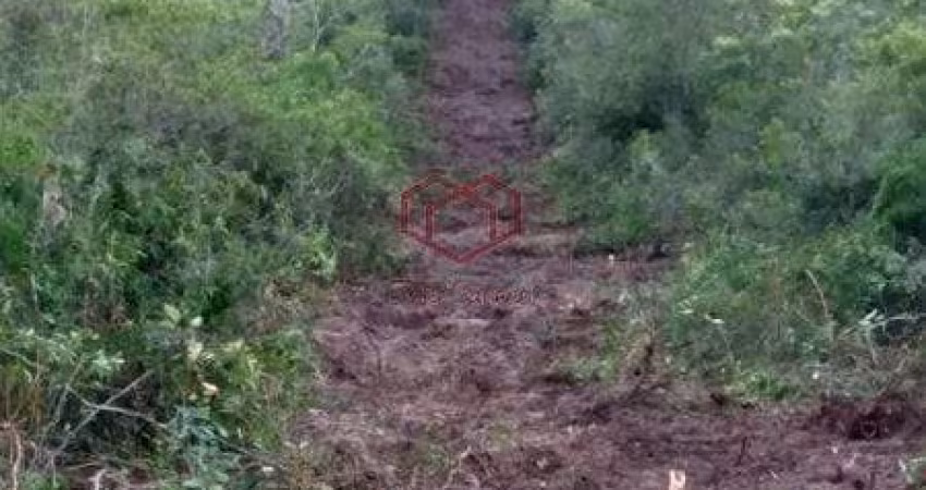 Chácara à venda 1 Quarto, 900M², Zona Rural, Reserva do Cabaçal - MT