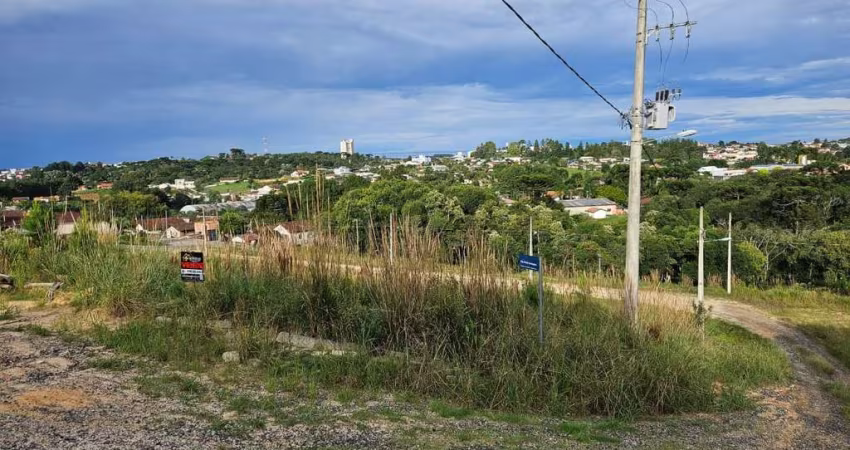 Terreno à venda na Rua Travessa 16 de novembro, Quitandinha, Rio Negrinho