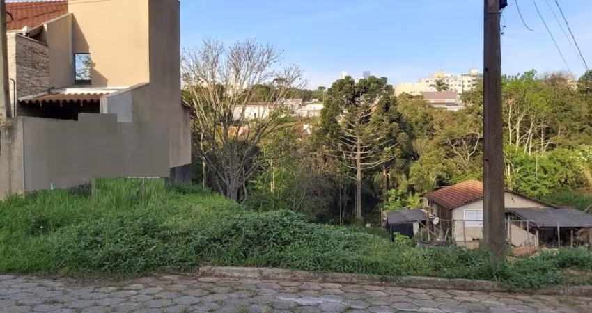 Terreno à venda na RUA DOUTOR FÚLVIO C ADUCCI, Centro, Mafra