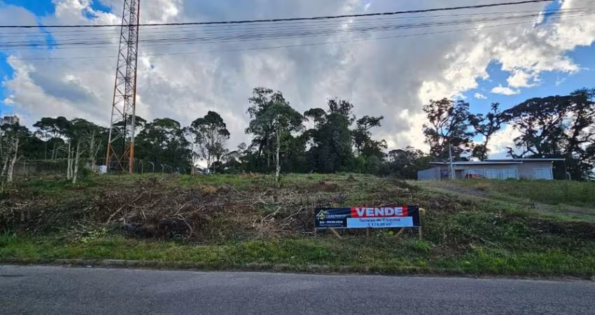 Terreno à venda na Rua Eduardo Ruckl, Vista Alegre, Rio Negrinho