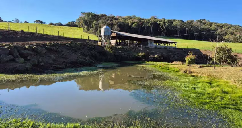 Chácara / sítio com 3 quartos à venda na Corredeiras, Zona Rural, Rio Negrinho