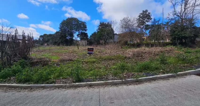 Terreno em condomínio fechado à venda na Rua Francisca do Prado, Quitandinha, Rio Negrinho