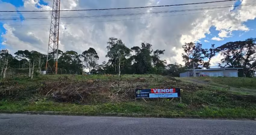 Terreno em condomínio fechado à venda na Rua Eduardo Ruckl, Vista Alegre, Rio Negrinho