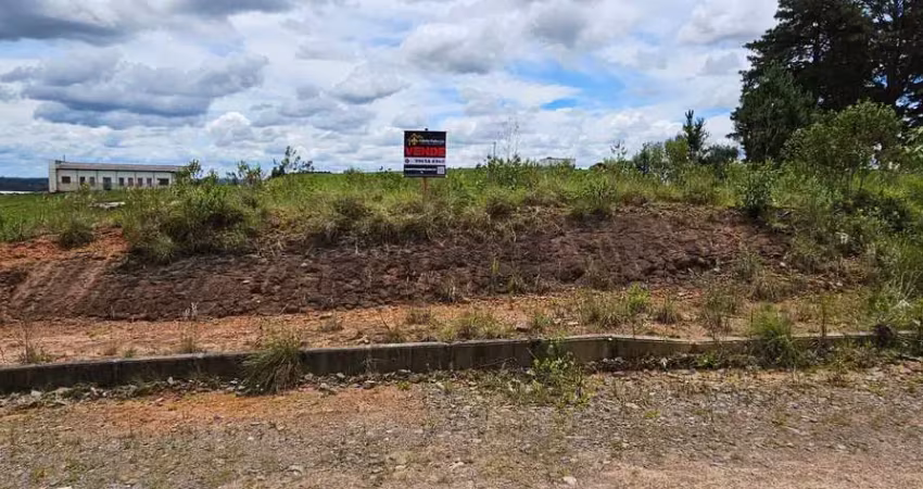 Terreno em condomínio fechado à venda na Rua Dirceu Wiese, São Pedro, Rio Negrinho