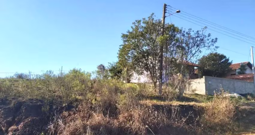 Terreno em condomínio fechado à venda na Rua Jorge Ruckl, Vista Alegre, Rio Negrinho