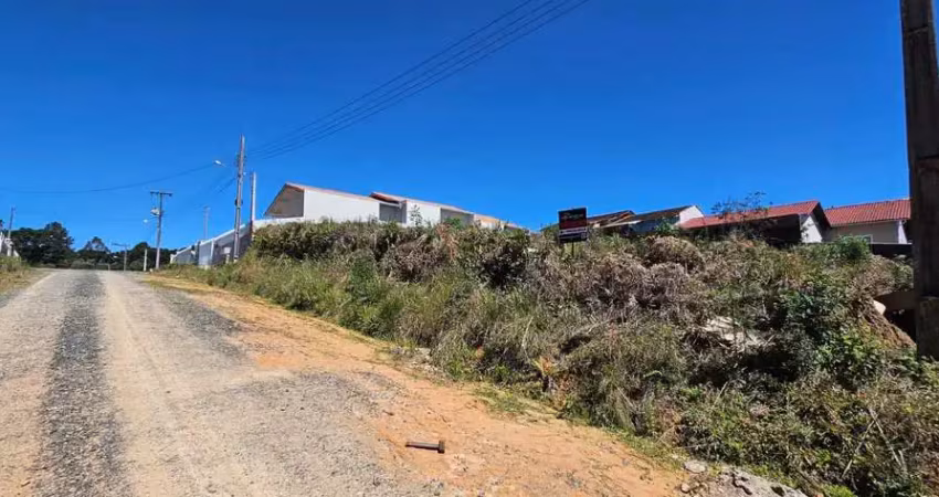 Terreno em condomínio fechado à venda na Rua Maria Walter Bruski, Industrial Norte, Rio Negrinho