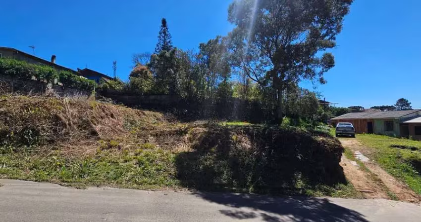 Terreno à venda na Rua Bruno Penkal, São Rafael, Rio Negrinho
