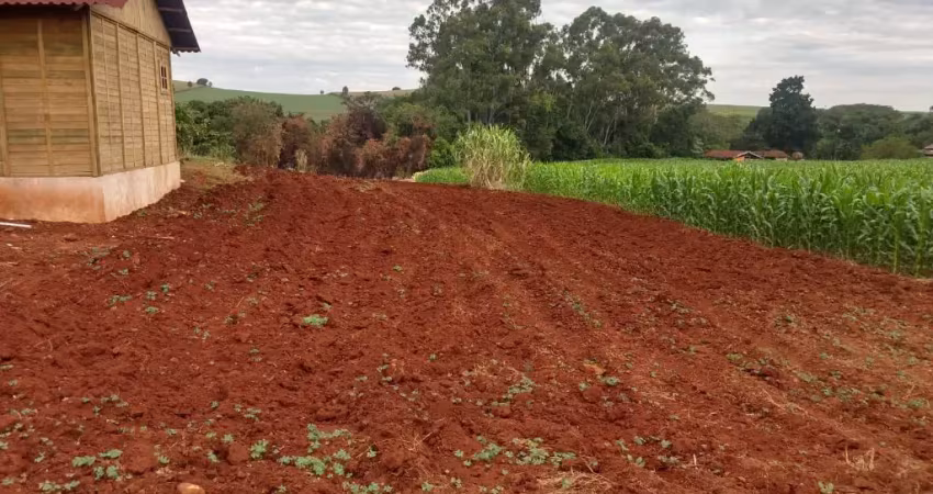 Chácara / sítio com 1 quarto à venda na Avenida Marialva, Aquidaban, Marialva