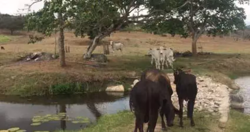 Ótimo para empreendedorismo, fazenda 16 hec, rio e 2 açudes perene, agrestina