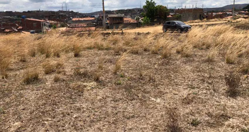 Terreno 12,00m x 25,00m em timbaúba, aceito automóvel, excelente localização