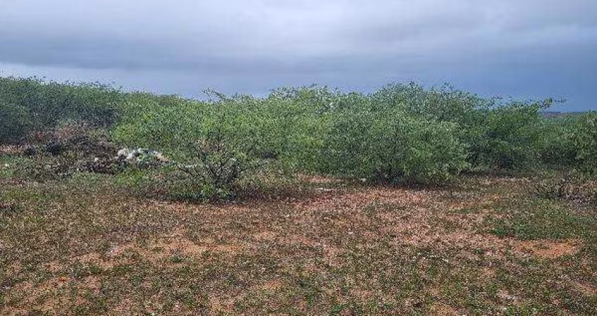Oportunidade Única em SAO VICENTE - RN | Tipo: Terreno | Negociação: Venda Direta Online  | Situação: Imóvel