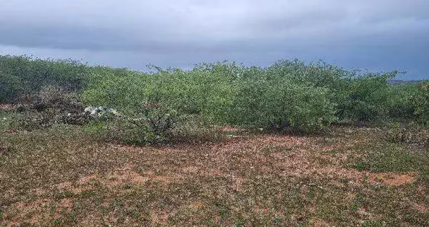 Oportunidade única em sao vicente - rn | tipo: terreno | negociação: venda direta online  | situação: imóvel