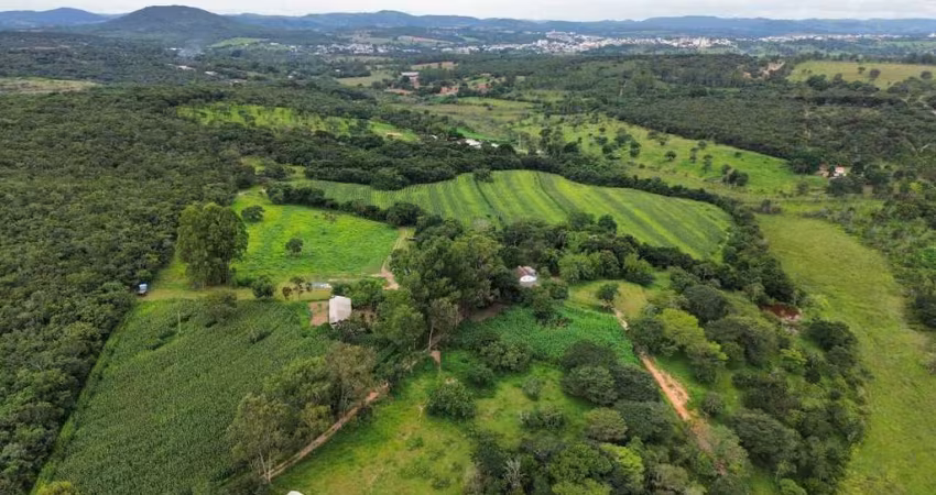 FAZENDA A VENDA COM 93,81 HECTARES, TODA FORMADA PROXIMO A DIVINOPOLIS MG