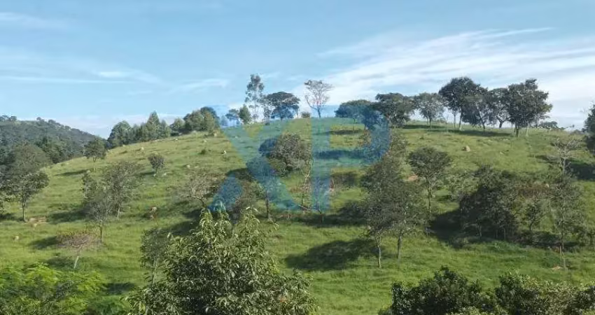 Fazenda à venda, 2 quartos, zona rural - santo antônio dos campos/mg