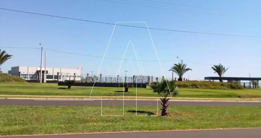 Terreno no Condomínio Residencial Vila Madalena II em Araçatuba/SP