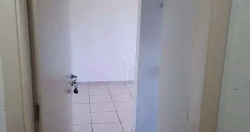 Apartamento no Condomínio Parque Ápice em Araçatuba/SP