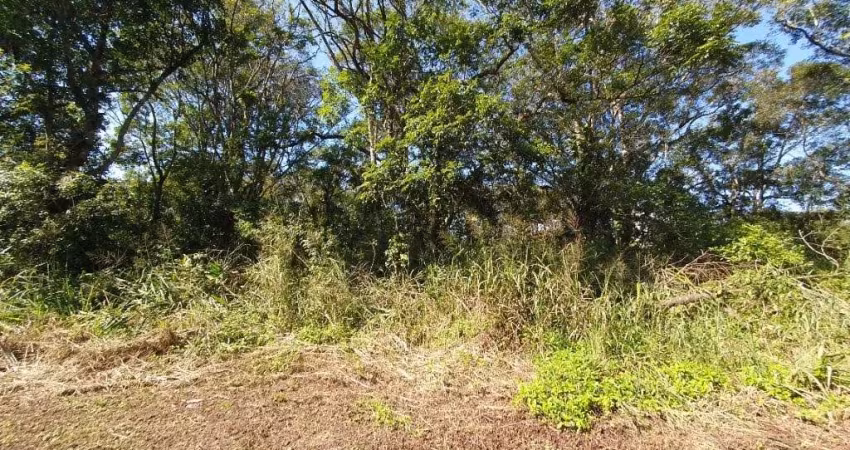 Lote / Terreno em Itapoá/SC no Santa Terezinha