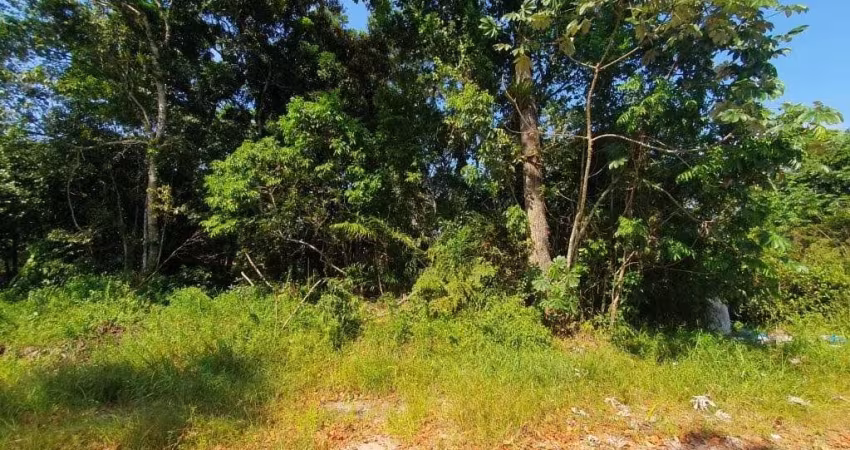Lote / Terreno em Itapoá/SC no Brandalize