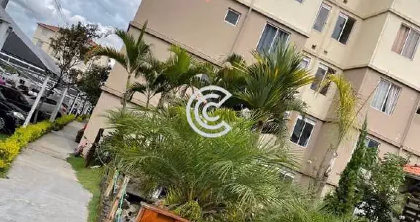 Apartamento com 2 quartos à venda na Rua Miguel João Jorge, 442, Jardim São José, Campinas