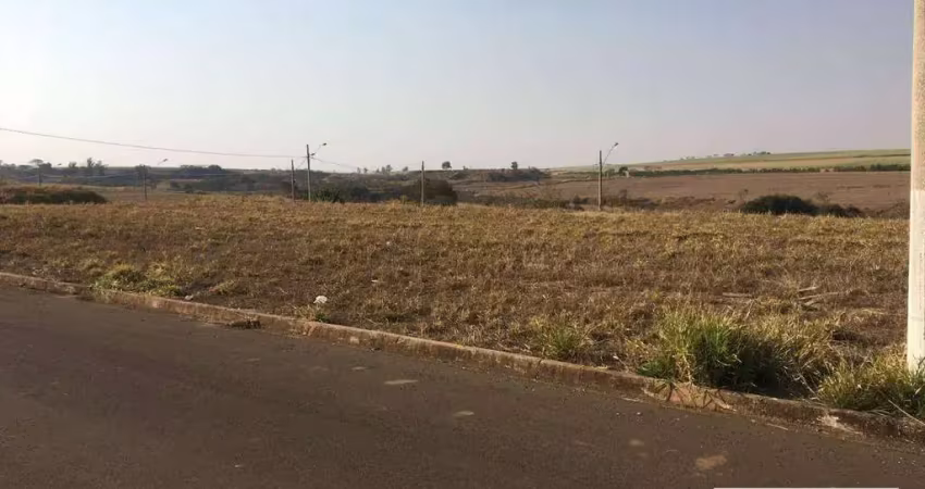 Terreno à venda, 250 m² por r$ 115.000,00 - parque alto das palmeiras - leme/sp