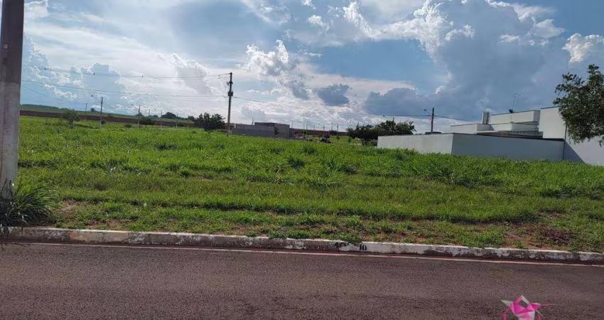 Terreno à venda, 250 m² por R$ 169.990,00 - Parque Residencial Santa Helena - Leme/SP