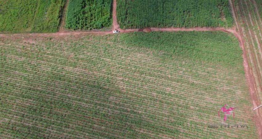 Terreno à venda, 4340 m² por R$ 300.000,00 - Área Rural - Pirassununga/SP