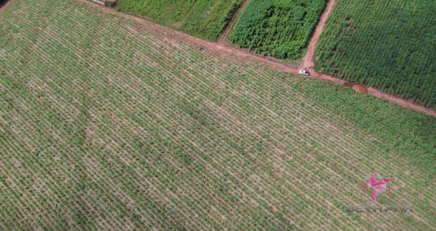Terreno à venda, 5002 m² por R$ 300.000,00 - Área Rural - Pirassununga/SP