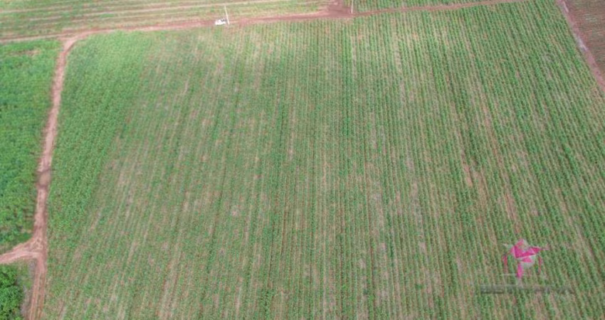 Terreno à venda, 18167 m² por R$ 1.200.000,00 - Área Rural - Pirassununga/SP
