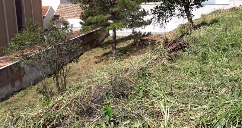 Terreno em local alto no Tingui - ótima localização - estuda permuta !