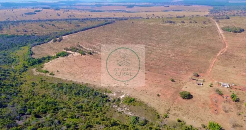 Fazenda com 974 Hectares Dupla Aptidão em Serranópolis GO - Avalia Permuta!