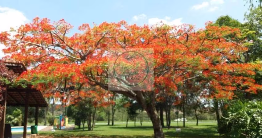 Sitio Excelente para Loteamento e Posto de Combustível
