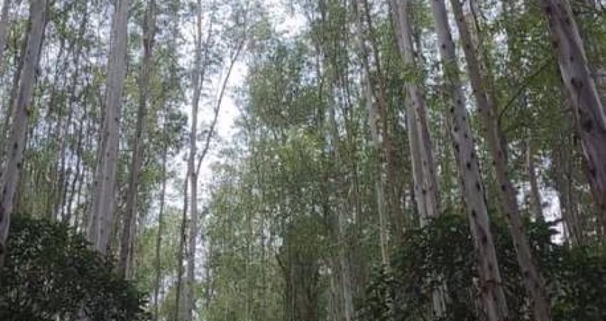Fazenda com Eucalipto Área Total 216 Alqueires Lavrinhas SP