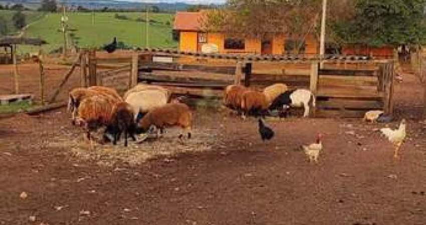 FAZENDA COM 60 ALQUEIRES A VENDA NA REGIÃO DE ITAPETININGA-SP