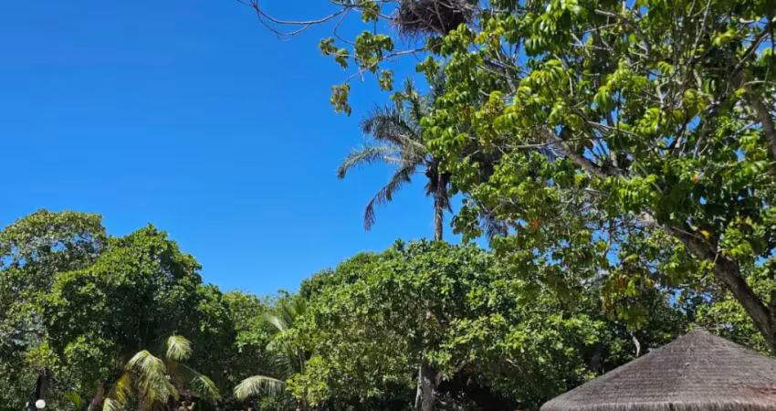 Casa em condomínio fechado com 4 quartos à venda na Km 08, Estrada do Coco, Condomínio Vilas do Joanes, A/n, Catu de Abrantes, Camaçari
