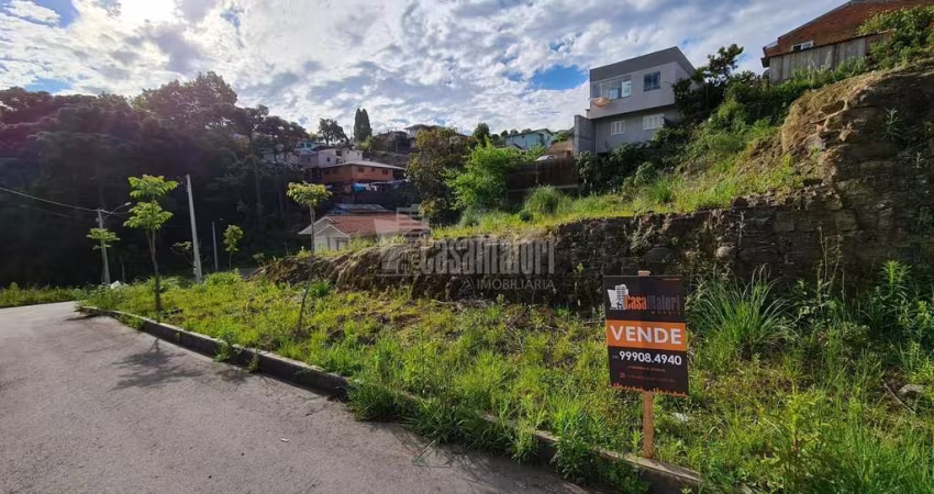 Lote semi-plano com medidas de 12x25m em Loteamento Liberado para Construção!
