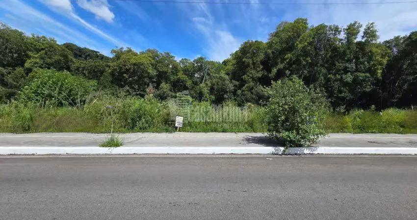 Terreno à venda na Rua Bramante Mion, s n, Universitário, Bento Gonçalves