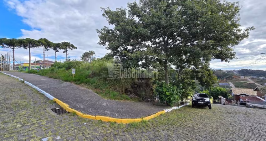 LOTE À VENDA NO LOTEAMENTO PANORÂMICO III EM BENTO GONÇALVES!