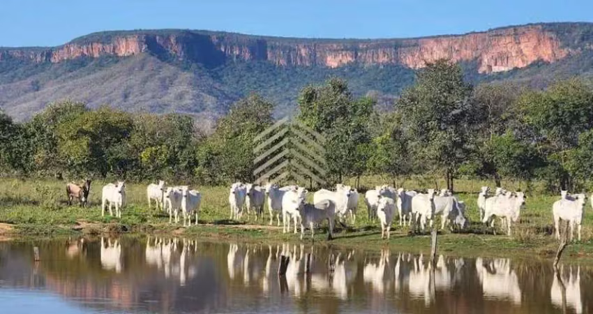 Fazenda à venda na Nova Aquidauana, Aquidauana 