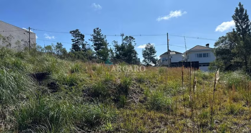 Terreno à venda na Rua Julia De Carli Paglioli, São Luiz, Caxias do Sul
