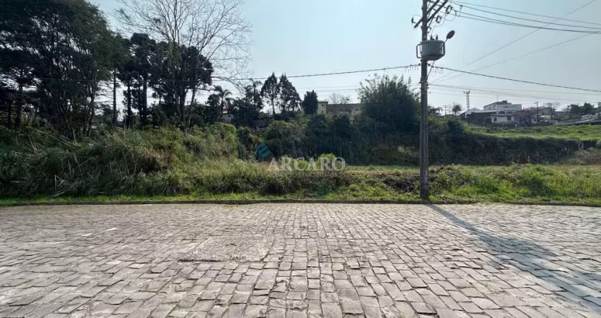 Terreno à venda na Rua Albino Melotto, Lote nº 07, Centro, Farroupilha