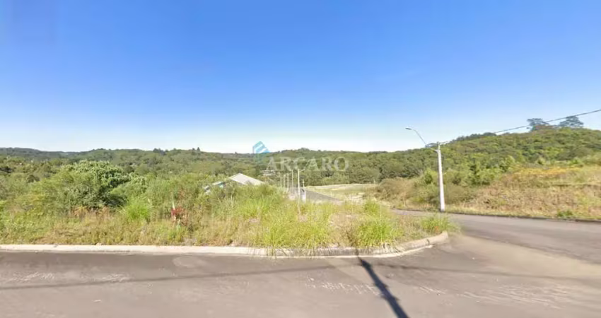 Terreno à venda na Rua Gilberto Cabeda Menna Barreto esquina com Rua Carmosina Barbosa Pinto, São Giácomo, Caxias do Sul