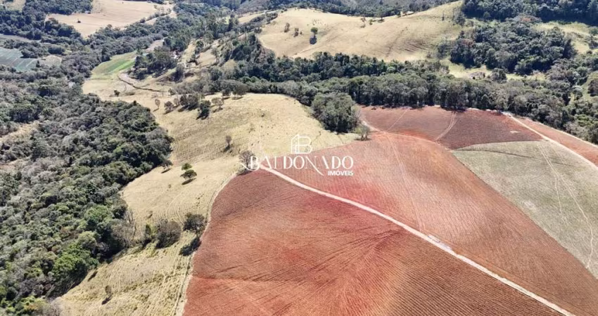 Fazenda em Munhoz MG à Venda ESCRITURA NASCENTES RIO 30 alqueires